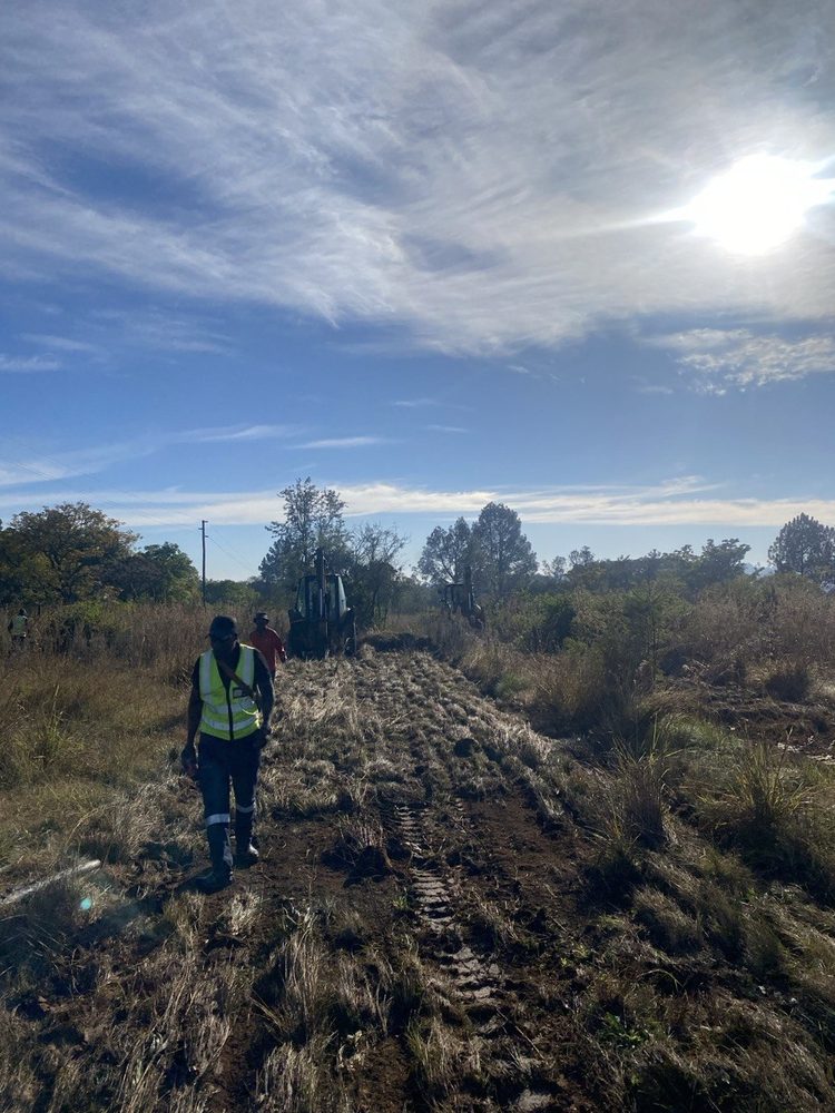 Cosmo Peak Estate cleared track and site-preparation work